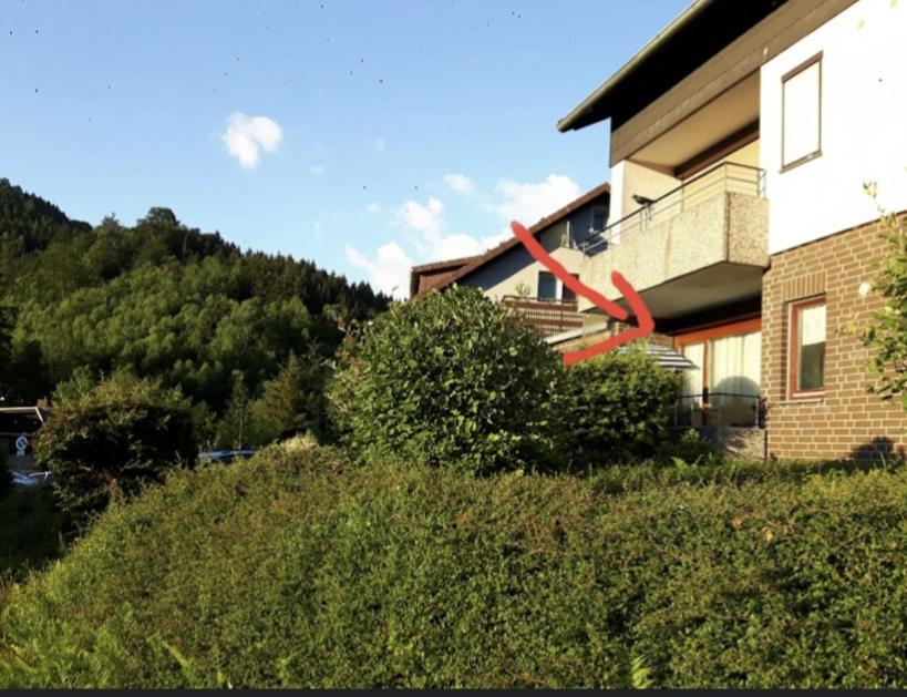 Harz-liebe Lautenthal Apartment Langelsheim
